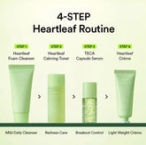 Abib - Heartleaf Calming Trial Kit